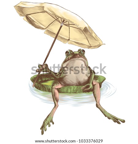 frog sitting on a water jug and holding a beach umbrella in his paw, sketch vector graphics colored drawing