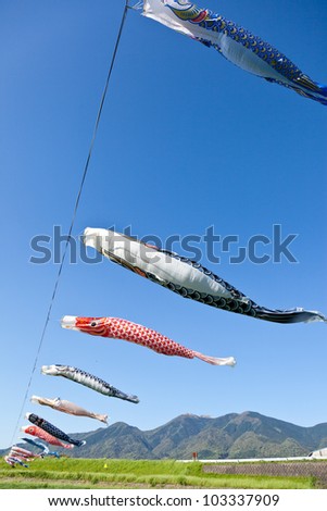 This is a picture of carp streamers is decorated on the day of children.