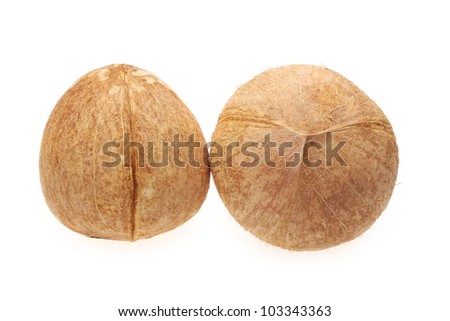 whole coconut fruit without husk isolated on white background