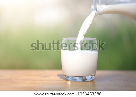 Pouring milk in the glass on the background of nature.