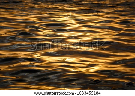 Liquid Gold, Ripples at sunset, Sydney Australia