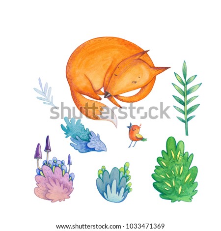 Watercolor set of natural floral elements and funny animal characters. Hand drawn sly fox, cute bird and forest details isolated on white for baby design.