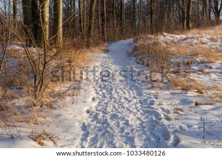 Photo of snowy landscape with blue sky and road in winter