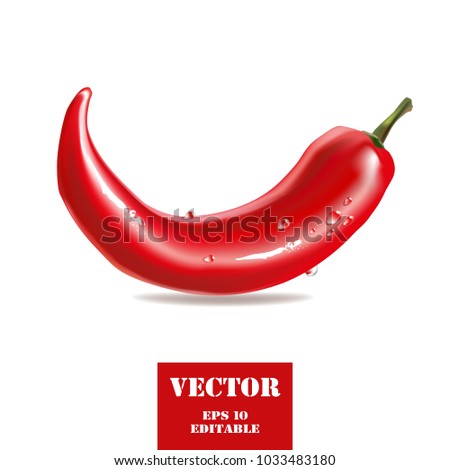 Red chili pepper stylized vector illustration