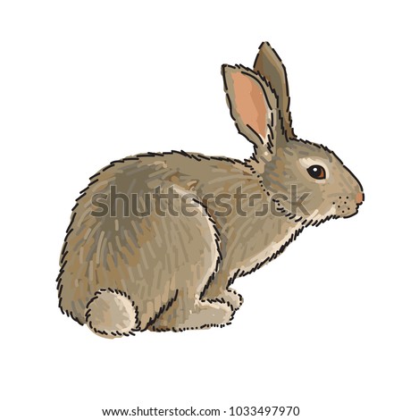 Easter Bunny - vector illustration in realistic style, isolated on white background. Easter greetings illustration design template
