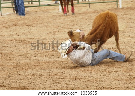 Cowboy vs steer during a rodeo bulldogging event.