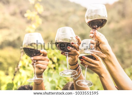 Hands toasting red wine glass and friends having fun cheering at winetasting experience - Young people enjoying harvest time together at farmhouse vineyard countryside - Youth and friendship concept Royalty-Free Stock Photo #1033551595