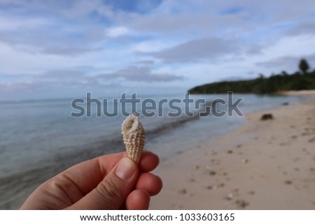 A hand holding a hermit crab gainst a sea background.