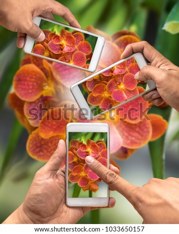 Smartphone taking photo concept. Three smartphone taking a photo for flowers orchid