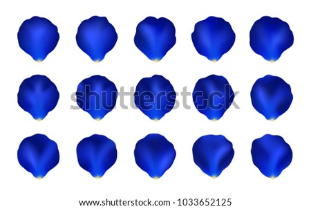Set of Blue Rose Petals, Mesh. Collection of Vector Rose Petals Isolated on the White Background. For Your Design