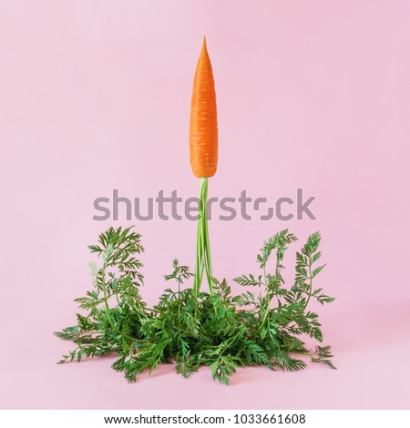 Carrot  launches like a rocket on pink background. Easter minimal concept. Royalty-Free Stock Photo #1033661608