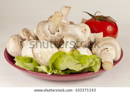 fresh mushrooms and a tomato on red plate isolated on gray background
