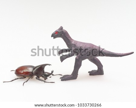 Fighting or rhinoceros beetle fighting with black toy dinosaur isolated on white background which male beetles are used for gambling fights