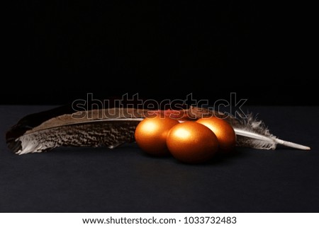set of traditional eggs painted in golden color with feather isolated on black background. Happy Easter concept, bird and nature, copy space