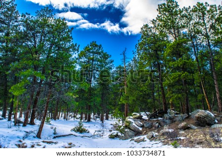 Winter in Evergreen, Colorado