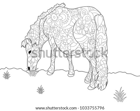 Anti stress coloring book pony. Horse doodle style. Black lines, white background vector illustration