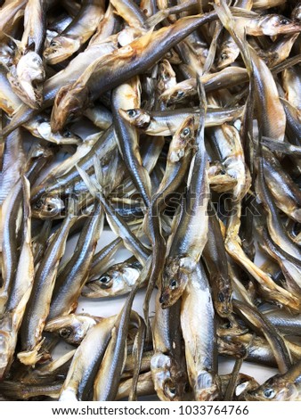 dry gobies fish. small dried fish for beer. goby fish for food textures. 