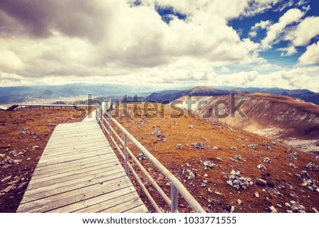 Vintage toned picture of a wooden walkway in the Shika Snow Mountain scenic area, China.