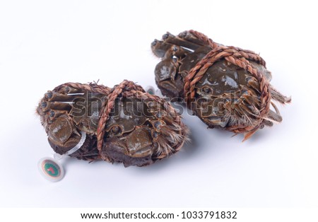 Fresh Yangcheng Lake hairy crabs