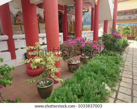 Potted plants and lined up Buddha statue in Kek Lok Si Temple, George Town, Pulau Penang, Malaysia