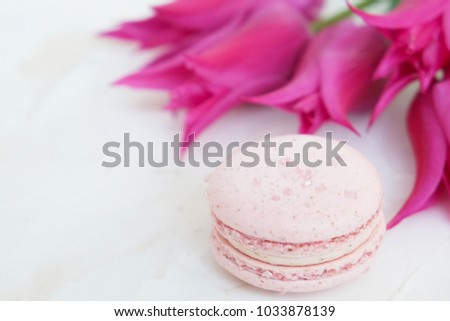 Beautiful feminine composition w/ pastel colors French macaroon sweets & purple tulip flower blossoms on white stucco background. 8 march women's day, mothers day, Happy Easter. Close up, copy space.