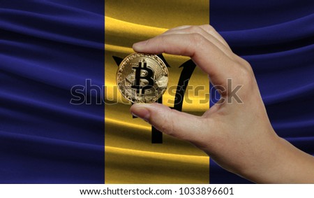 Hand of a man with a gold bitcone Cryptocurrency Digital bit of coins in a hand on a background of the flag of Barbados.