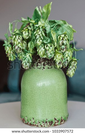 Cones of green hops. Artificial silk flowers in interior