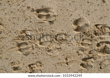 Patterns in the sand at the beach from birds feet