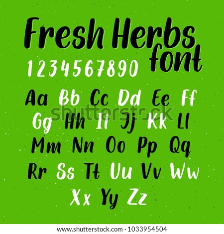 Hand drawn grunge brush script. Vector alphabet with letters and numbers. Trendy handwritten font named Fresh Herbs on green color background with splatter