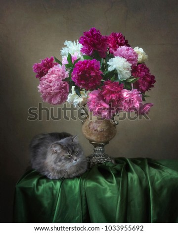Still life with beautiful bouquet peonies and kitty