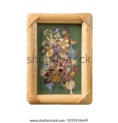 Dried pressed flower collage art in wooden frame, isolated