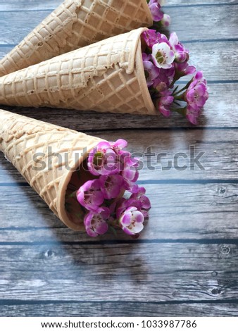 spring cones. three waflle cones with small purple wax  flowers