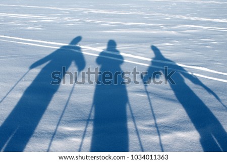 shadows of three skiers in the snow
