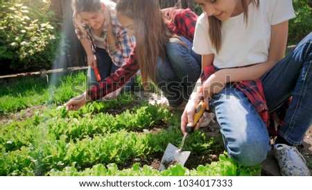 Closeup image of two teenage girls with young mother weeding garden bed