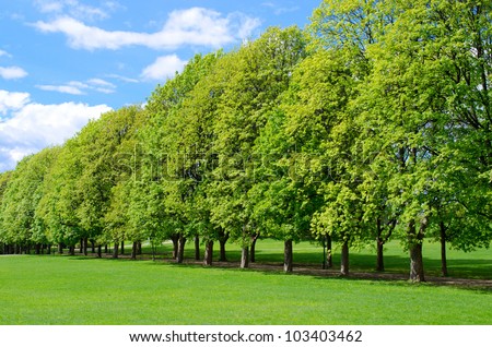Tree line in the popular Vigeland park in Oslo, Norway Royalty-Free Stock Photo #103403462