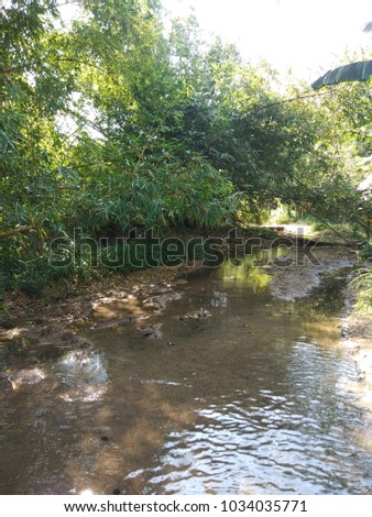 Clear water stream in the nature