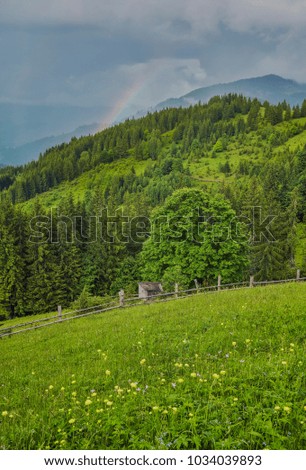 mountainous landscape with forested hills. beautiful summer scenery on a cloudy day