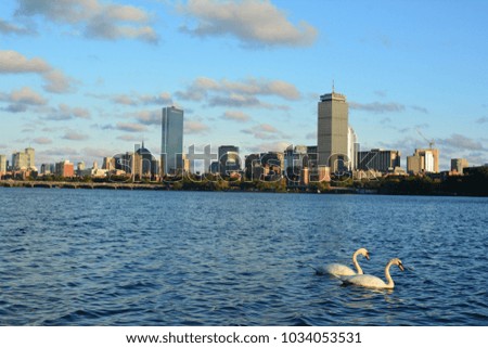 Boston Skyline Across The River