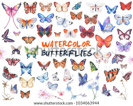 Vector illustration of watercolor butterflies isolated on white background Royalty-Free Stock Photo #1034063944