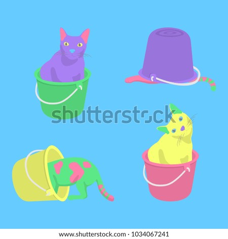 four fat cat confused in Bucket background blue