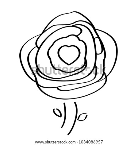 Isolated rose drawing