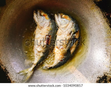 Blurred picture of two Mackerels from Maeklong river, Thailand fried in the pan with space for your text and design. Concept be used for local food, healthy food and restaurant business.