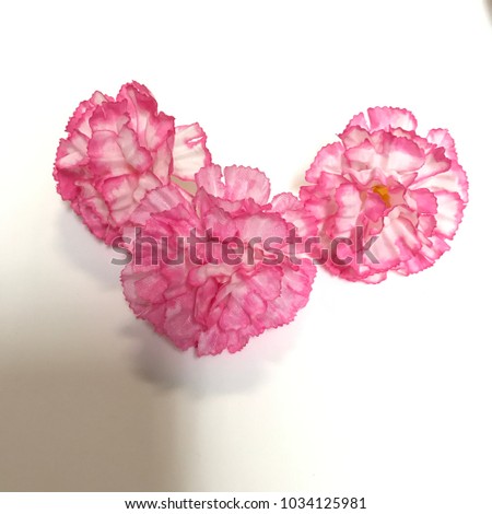 Pink plastic flowers