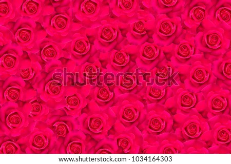 Red rose texture background