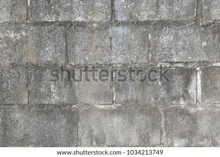 Wall was made from cement block with some lichen. Old cement block wall.