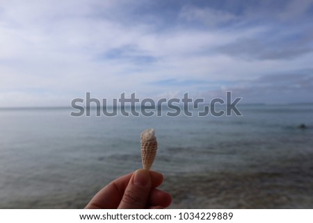 A hand holding a shell against a sea background.