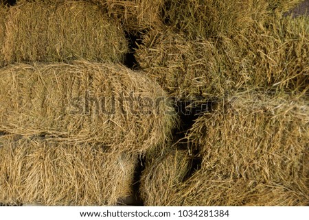 texture of raw hay