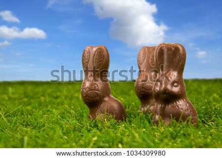 Chocolate easter bunnies on green grass with blue sky - easter background