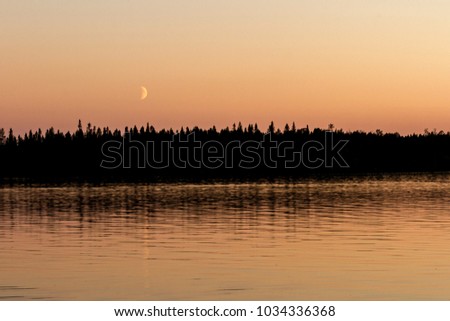 Moon above the dark night forest near the lake. Mystical fantastic fabulous background. 