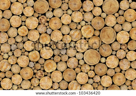 Stacked Logs Texture, Natural Background Royalty-Free Stock Photo #103436420